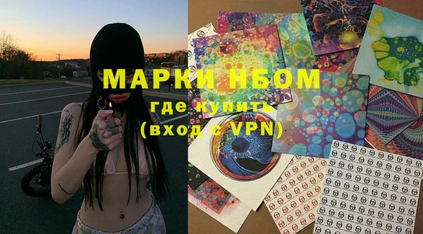 гидропоника Алзамай